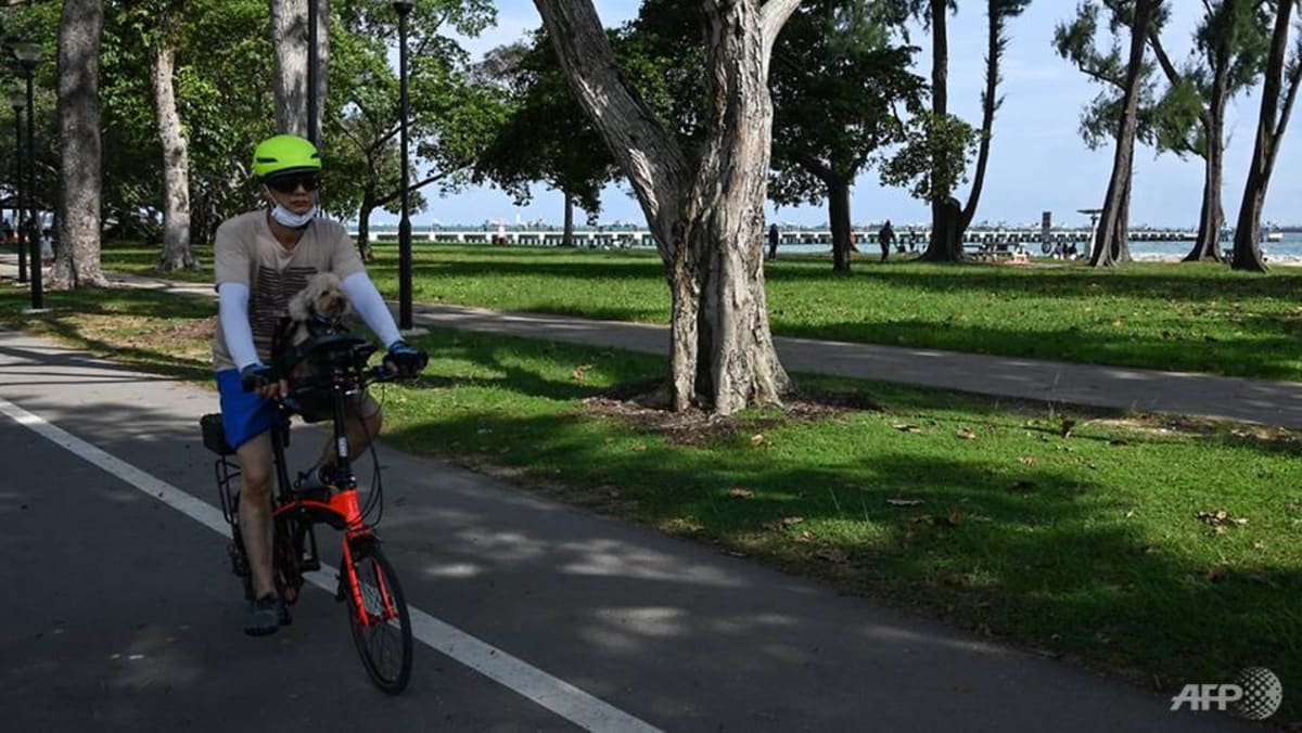 Tidak ada lagi sepeda tanpa rem di jalan dan jalan umum di masa depan karena pemerintah menerima tinjauan panel penasehat