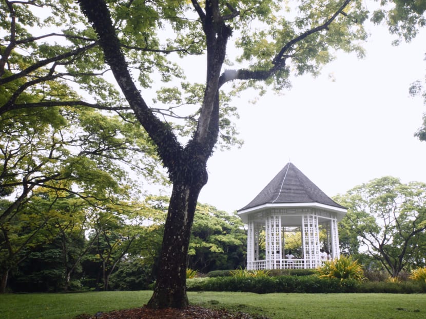 Botanic Gardens a step closer to become UNESCO site Botanic Gardens a step closer to become UNESCO site
