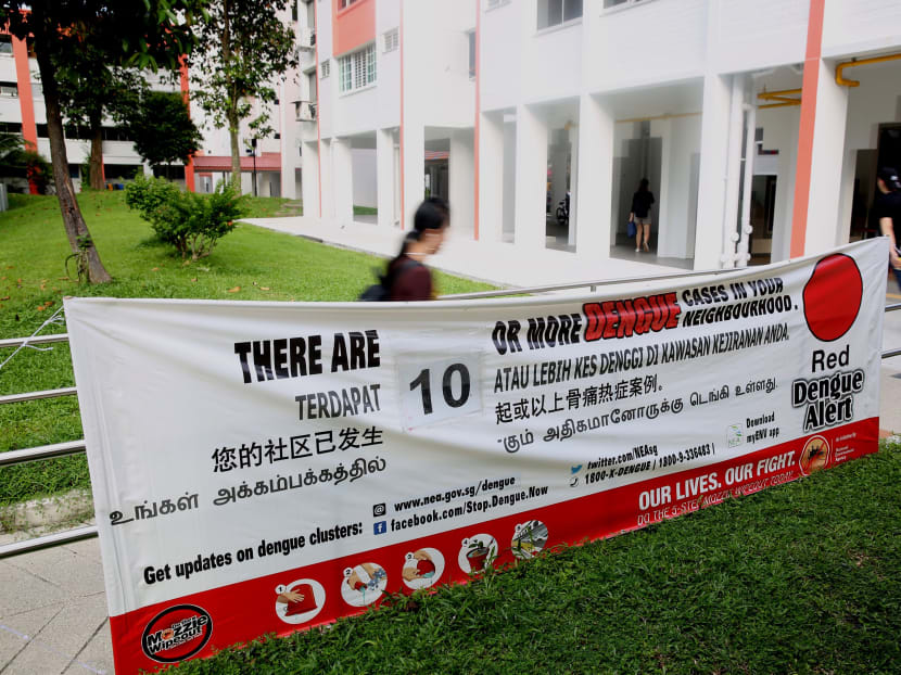 Number of dengue cases in 2020 so far surpasses 2019's total count Number of dengue cases in 2020 so far surpasses 2019's total count