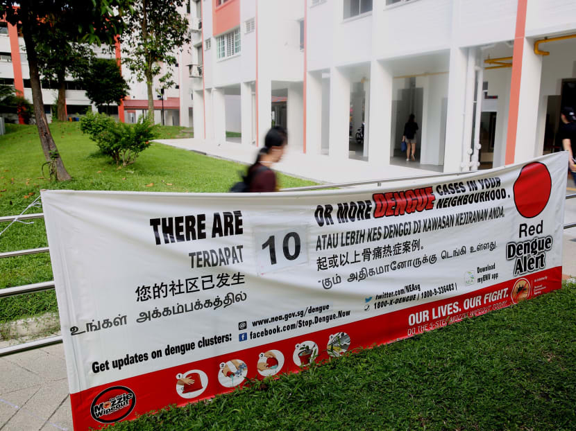 As of Monday, there were 371 dengue clusters in Singapore, of which 133 were deemed "high-risk areas" with 10 or more cases.