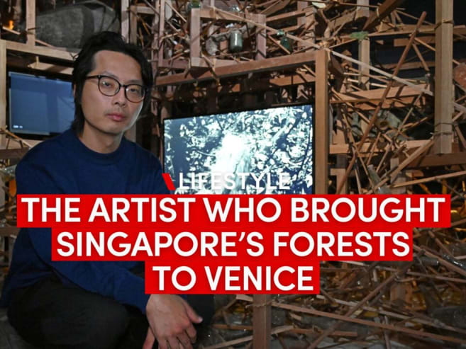Bukit Panjang to Venice Biennale: Singapore artist Robert Zhao Renhui’s Seeing Forest exhibit