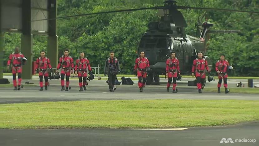Red Lions to pay tribute to pioneer batch at 2019 National Day Parade Red Lions to pay tribute to pioneer batch at 2019 National Day Parade