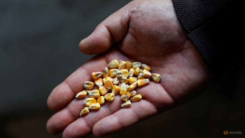 Explainer: UN plan to get Ukraine grains out faces hurdles Explainer: UN plan to get Ukraine grains out faces hurdles