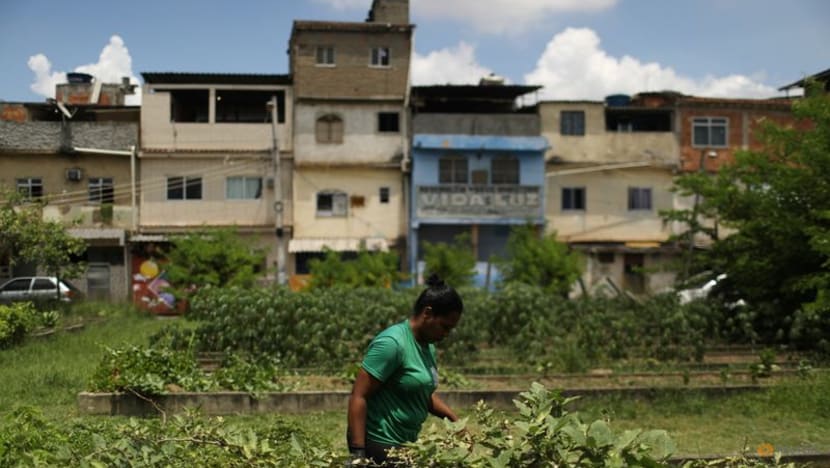 Urban garden in Rio feeds hundreds of families in former ‘crackland’ Urban garden in Rio feeds hundreds of families in former ‘crackland’