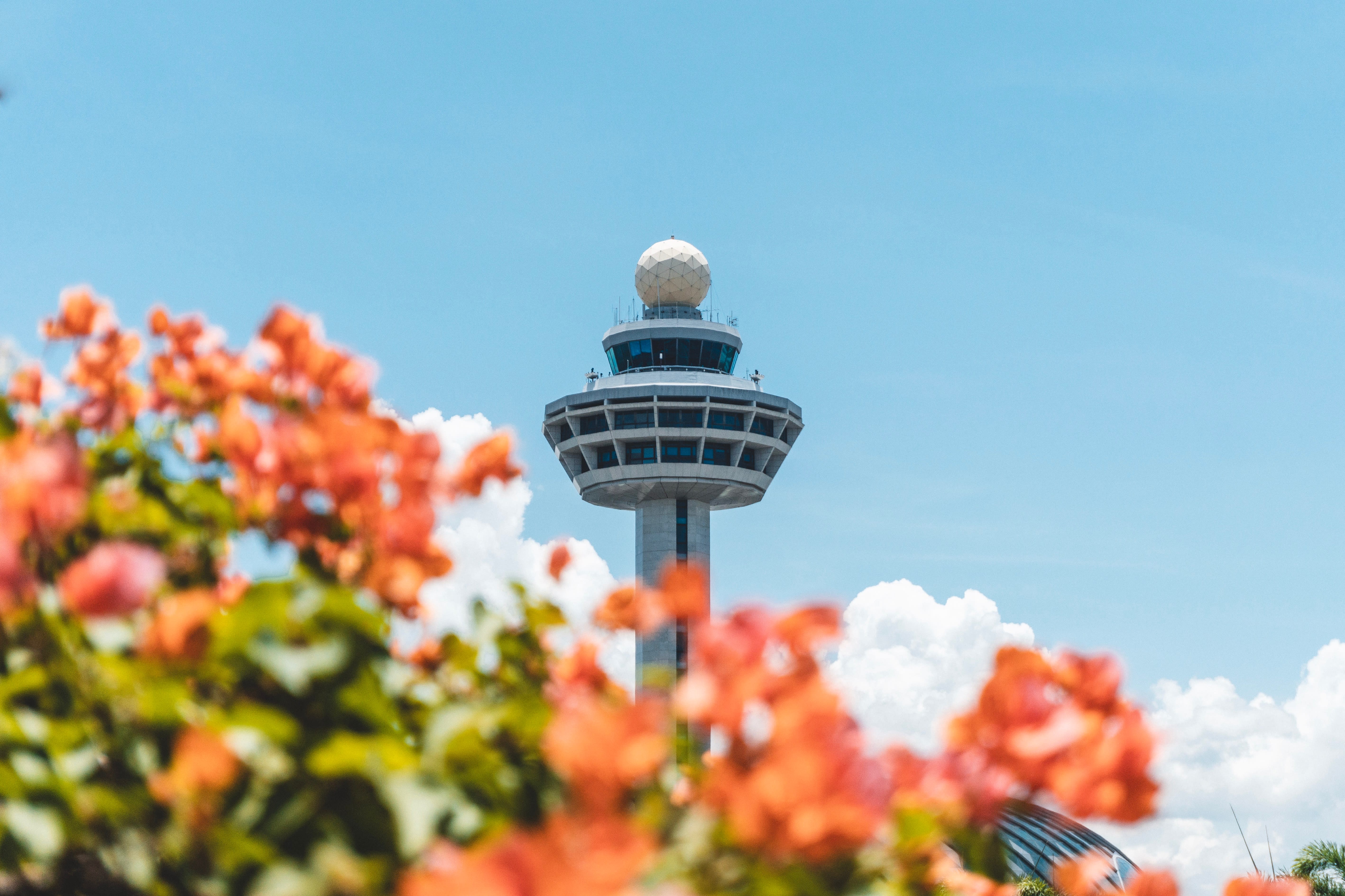 How Much Of Your Personal Info Is Printed On Duty-Free Receipts From Airports, Including Changi Airport? How Much Of Your Personal Info Is Printed On Duty-Free Receipts From Airports, Including Changi Airport?