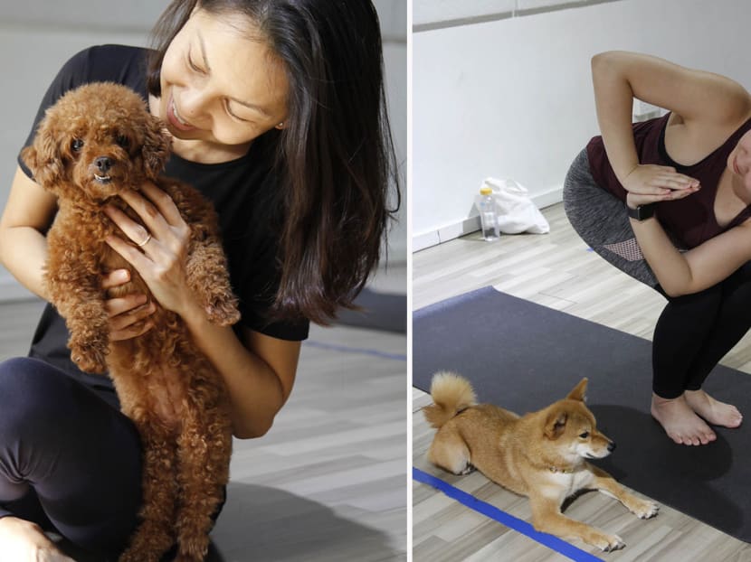 Dogs Are Allowed At This Yoga Studio — Bring Your Pup Along, Or Hang Out With Other Doggos If You Don't Have One - TODAY