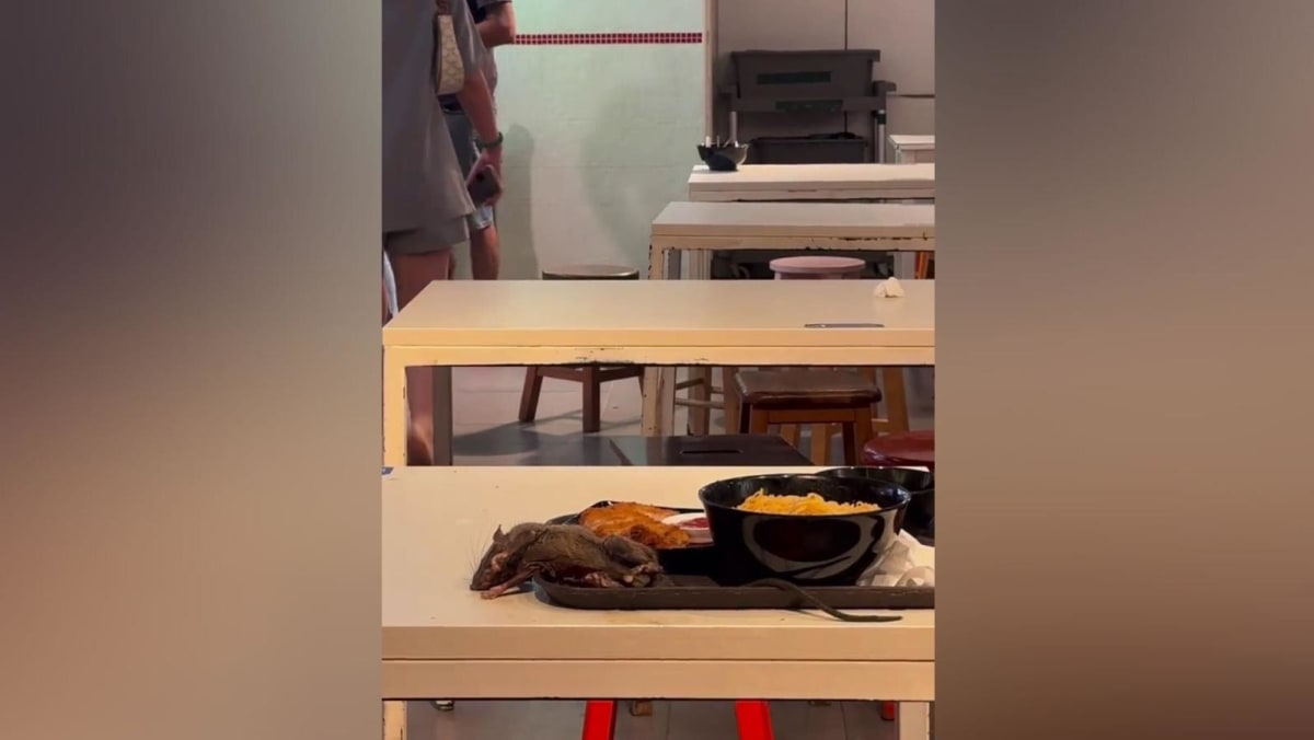 SFA investigating video allegedly showing twitching rat on food tray at Tangs Market - Vimarsana News