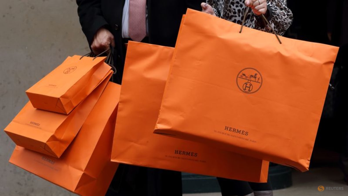 HK star Rain Li uses Hermes Birkin bag as dog carrier - TODAY