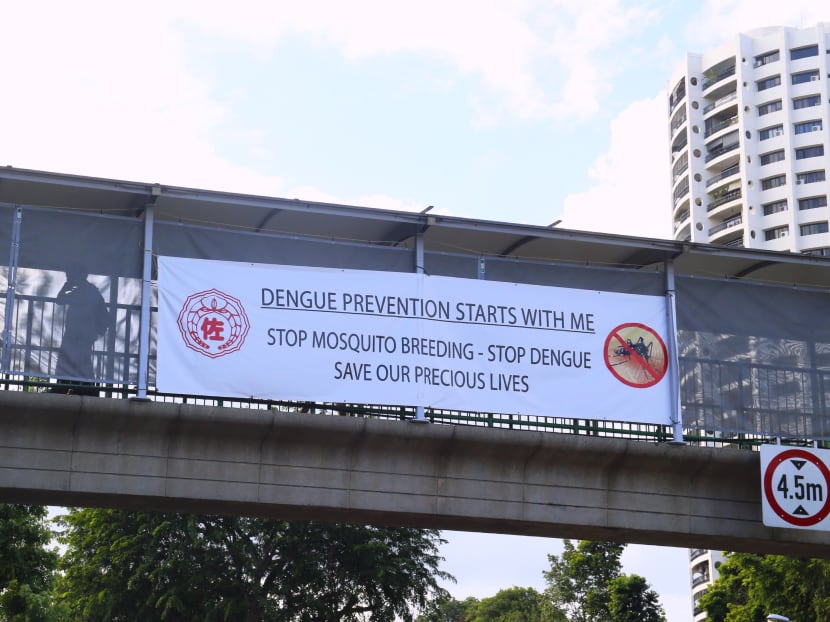 Dengue posters seen along Upper Thomson Road on Jan 27, 2016. Photo: Ernest Chua/TODAY