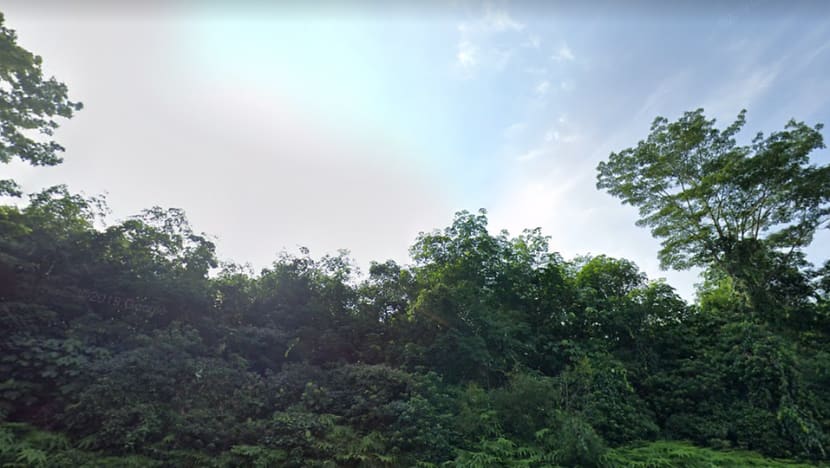 The Dover Forest debate: Can nature and development co-exist in urbanised Singapore? The Dover Forest debate: Can nature and development co-exist in urbanised Singapore?