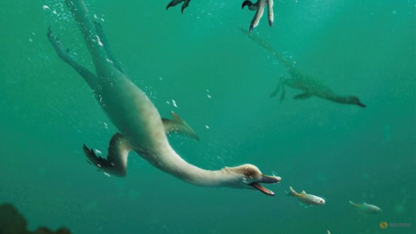 'Amazing' goose-necked dinosaur was built like a diving bird