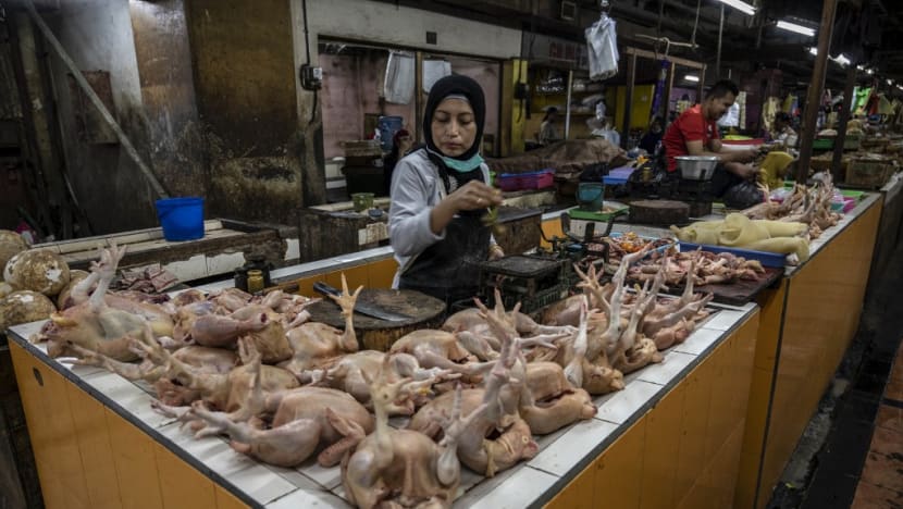 First shipment of chicken products from Indonesia to Singapore to depart on Wednesday: Agriculture ministry