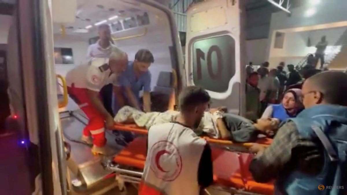 WHO, Red Crescent resupply two hospitals in north Gaza: WHO