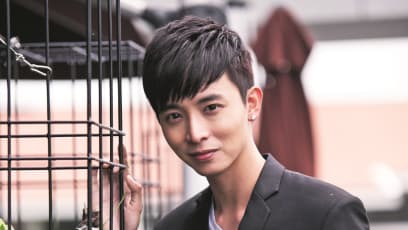 Aloysius Pang Quits Ch 8 To Sell Plastic?