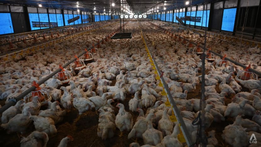 ‘The farms were so inefficient’: Indonesian start-ups seek to modernise agriculture ‘The farms were so inefficient’: Indonesian start-ups seek to modernise agriculture
