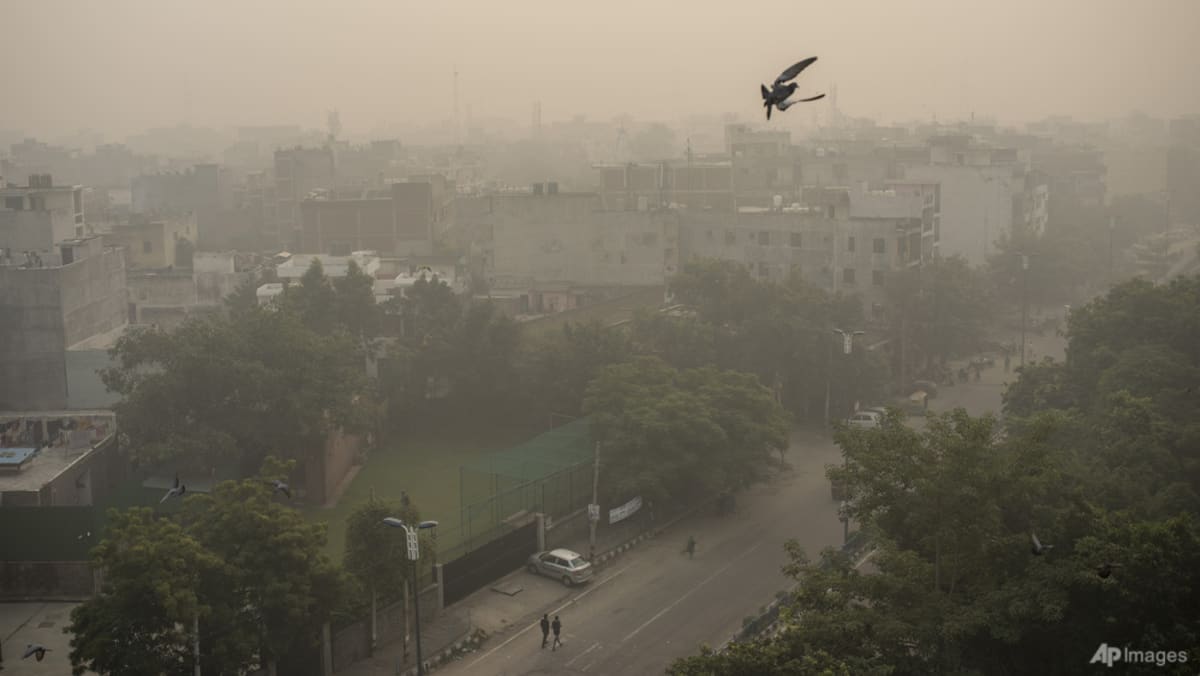 Reruntuhan udara berbahaya ibu kota India kembali ke sekolah saat pembatasan pandemi COVID-19 mereda