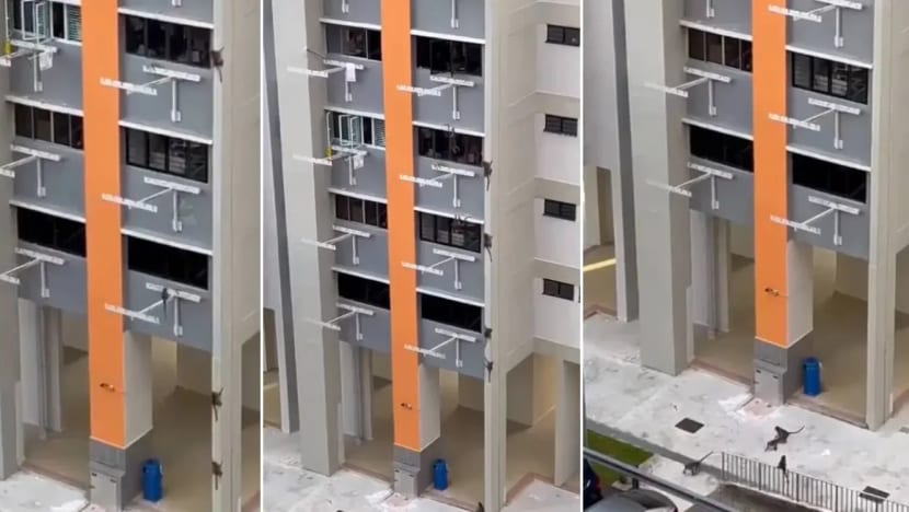 Gambar Pilihan Hari Ini BERITA Mediacorp