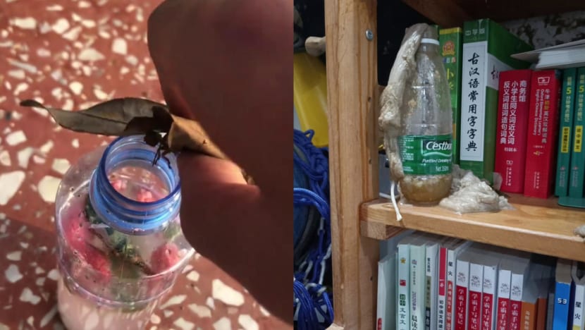 china trend stinky water