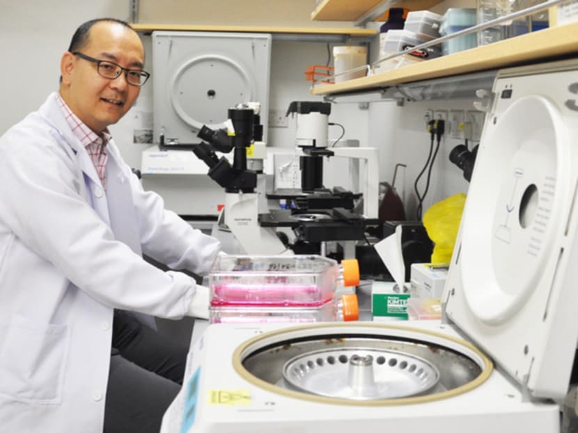 A study led by Professor Chng Wee Joo from the Cancer Science Institute of Singapore has shown the efficacy of a small molecule drug, PRIMA-1met, in inhibiting the growth of colorectal cancer cells. Photo: NUS