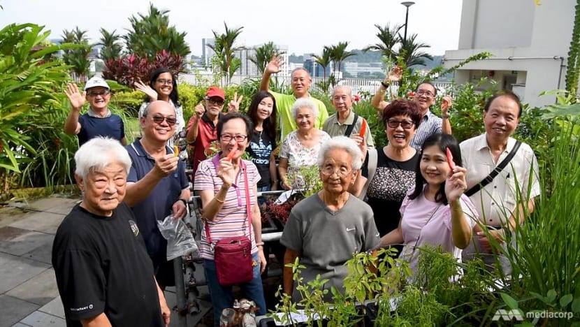 Reliving the kampung spirit': Neighbours put up CNY decorations