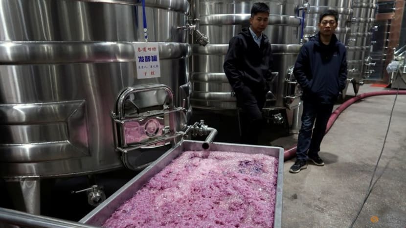Red China: Up-and-coming wineries gain recognition