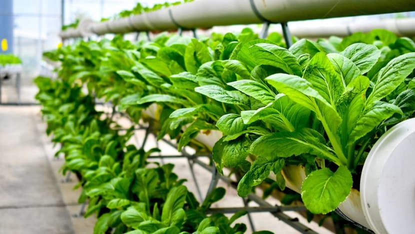 Commentary: Road to recovery post-coronavirus paved with green bricks Commentary: Road to recovery post-coronavirus paved with green bricks