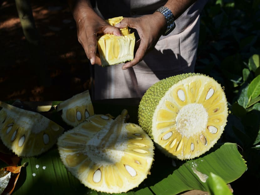 Green, spiky and with a strong, sweet smell, the bulky jackfruit has morphed from a backyard nuisance in India's south coast into the meat-substitute darling of vegans and vegetarians in the West.