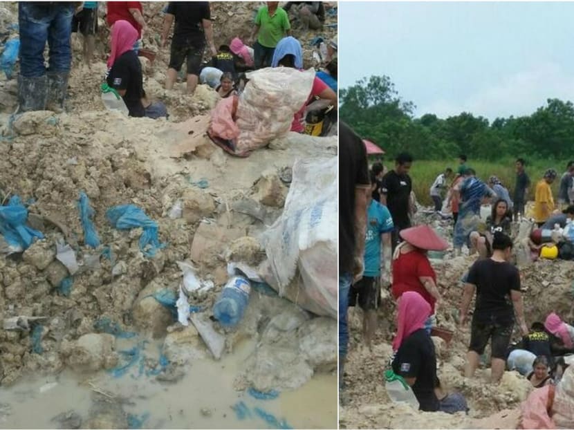Winging it: Villagers in Sibu had started digging up the buried chicken wings (left). Photo: Malay Mail Online