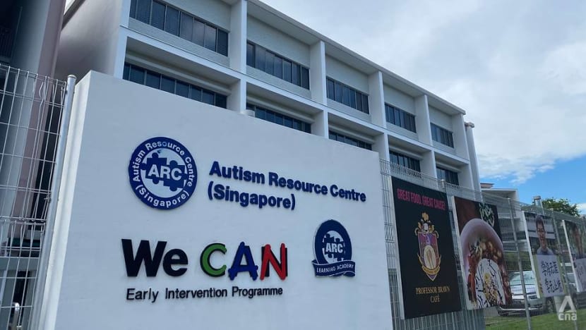 Independent living, employment among focus of Singapore's first master plan for people with autism Independent living, employment among focus of Singapore's first master plan for people with autism