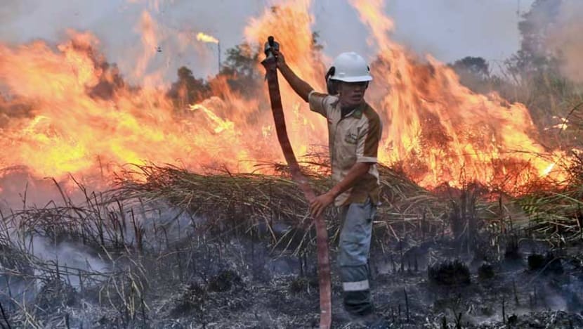 Indonesian Supreme Court declares Jokowi among those liable for 2015 forest fires resulting in regional haze: Reports Indonesian Supreme Court declares Jokowi among those liable for 2015 forest fires resulting in regional haze: Reports