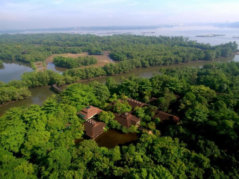 400 hectare nature park network around Sungei Buloh Wetland Reserve to be built by 2022