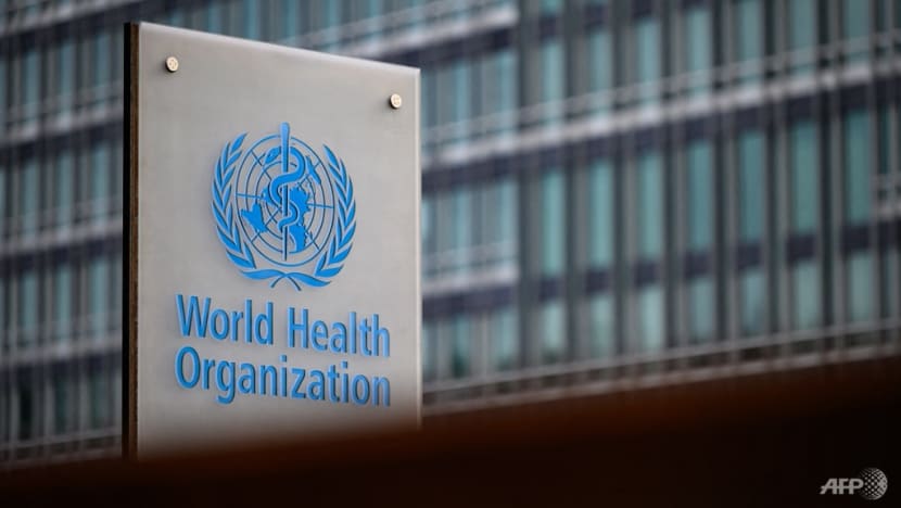 Monkeypox: how a global health emergency is decided Monkeypox: how a global health emergency is decided