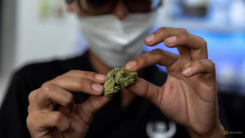 Thailand legalises growing, consumption of marijuana