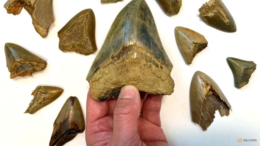 In an ancient shark showdown, 'Jaws' may have doomed 'The Meg' In an ancient shark showdown, 'Jaws' may have doomed 'The Meg'