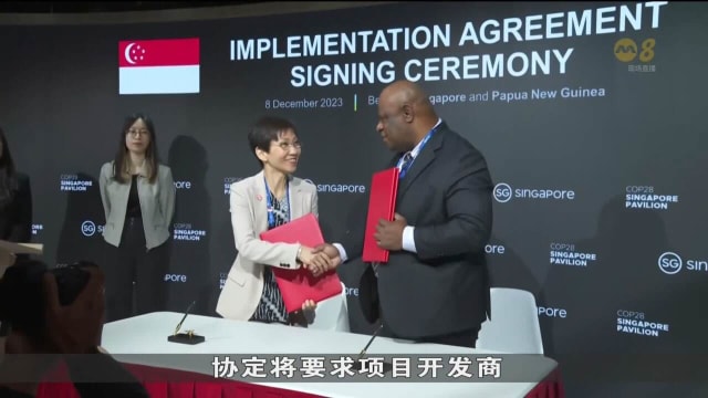 新加坡与巴布亚新几内亚签署碳信用协定