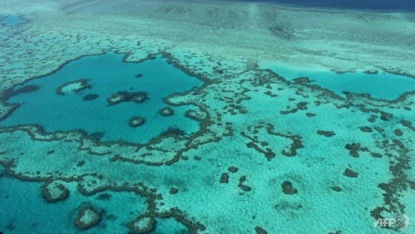 Australia's Great Barrier Reef status lowered to critical and deteriorating Australia's Great Barrier Reef status lowered to critical and deteriorating