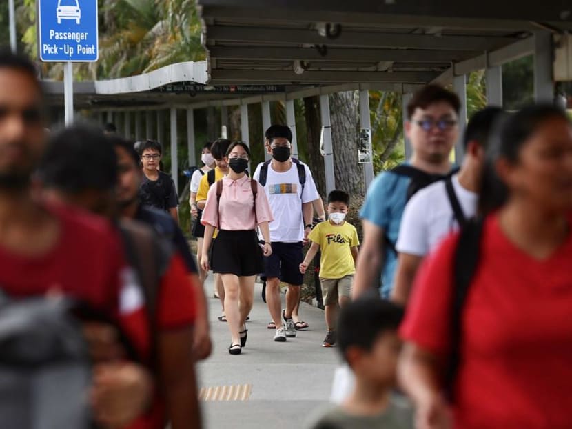 Singapore building up domestic production of face masks: Chan Chun Sing Singapore building up domestic production of face masks: Chan Chun Sing