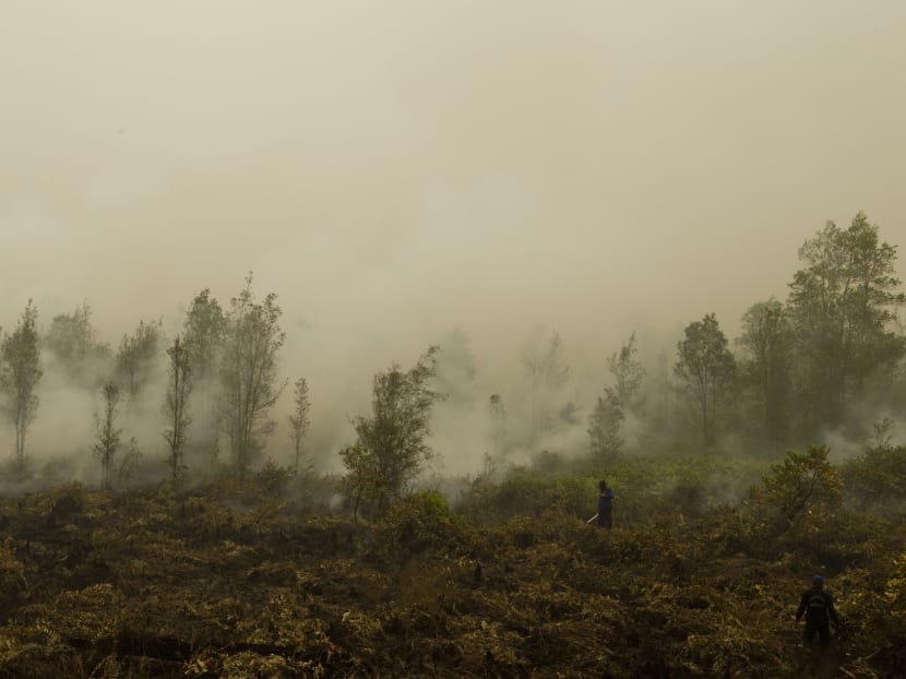 Indonesian firefighters extinguish fire on a vast burning peatland forest in Jabiren Raya district in Central Kalimantan province on Borneo in September 2015. Photo: AFP