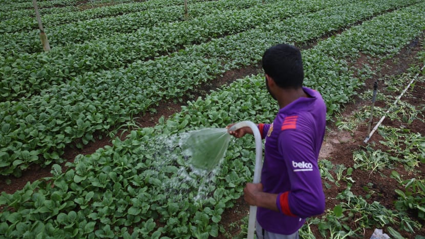 Commentary: From farmers to supermarket clerks, a new kind of essential worker has emerged Commentary: From farmers to supermarket clerks, a new kind of essential worker has emerged