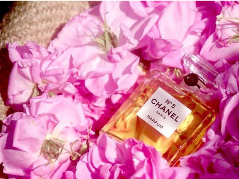 Everything you wanted to know about the main ingredient in Chanel No. 5 Everything you wanted to know about the main ingredient in Chanel No. 5