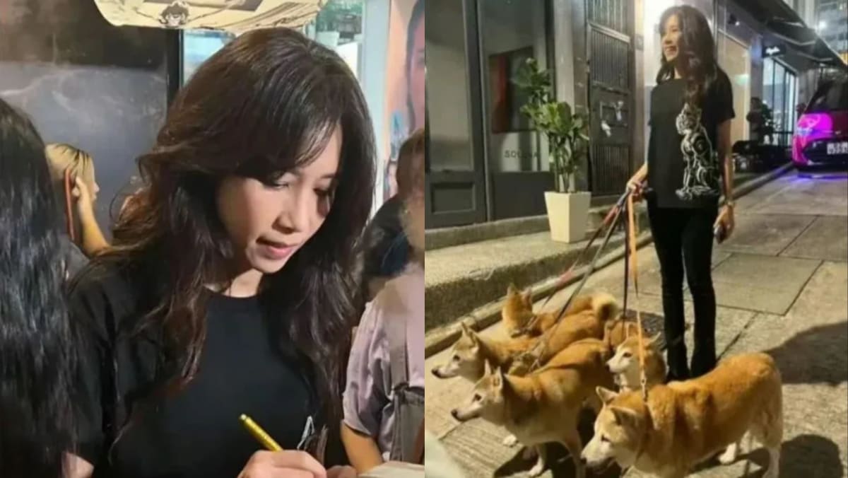 Fresh-faced Karen Mok seen out at night walking her pack of pet dogs