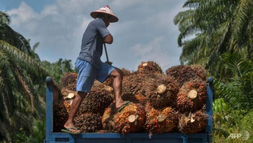 Why Indonesia’s ban on palm oil exports matters, and what consumers can expect