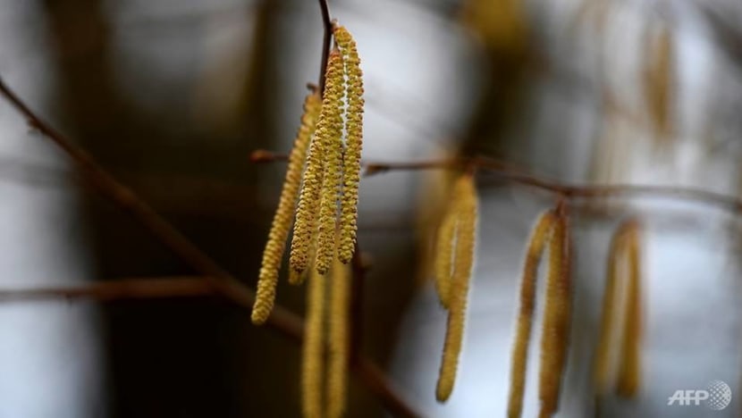 Tech helps cashmere herders, hazelnut farmers fight soil erosion in Asia Tech helps cashmere herders, hazelnut farmers fight soil erosion in Asia