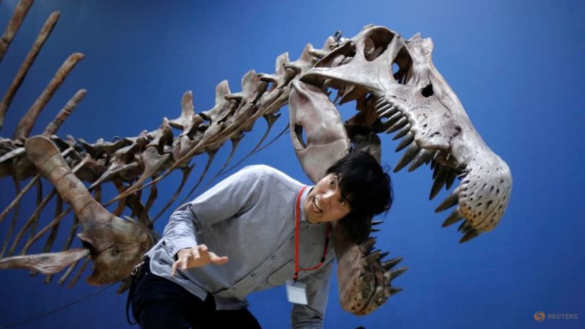 Eye socket changes amped up bite force in T rex and friends Eye socket changes amped up bite force in T rex and friends