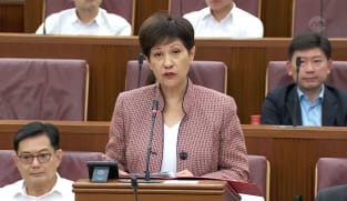 Committee of Supply 2023 debate, Day 7: Indranee Rajah on principles for effective Parliament  