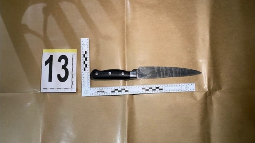 Police trained to fire at centre of the body to stop threat of serious hurt or death: Shanmugam Police trained to fire at centre of the body to stop threat of serious hurt or death: Shanmugam