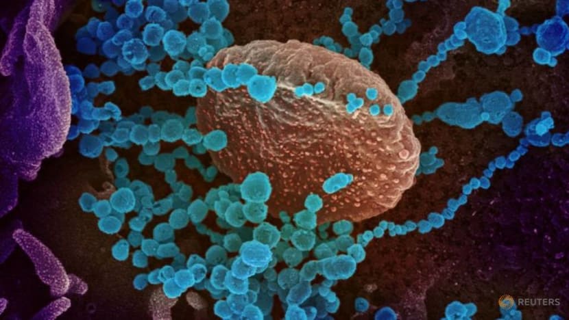 Commentary: New names for coronavirus variants will end stigma for countries Commentary: New names for coronavirus variants will end stigma for countries