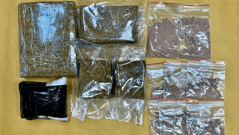 5 people arrested, drugs worth S$230,000 seized in Ang Mo Kio and Bukit Panjang 5 people arrested, drugs worth S$230,000 seized in Ang Mo Kio and Bukit Panjang