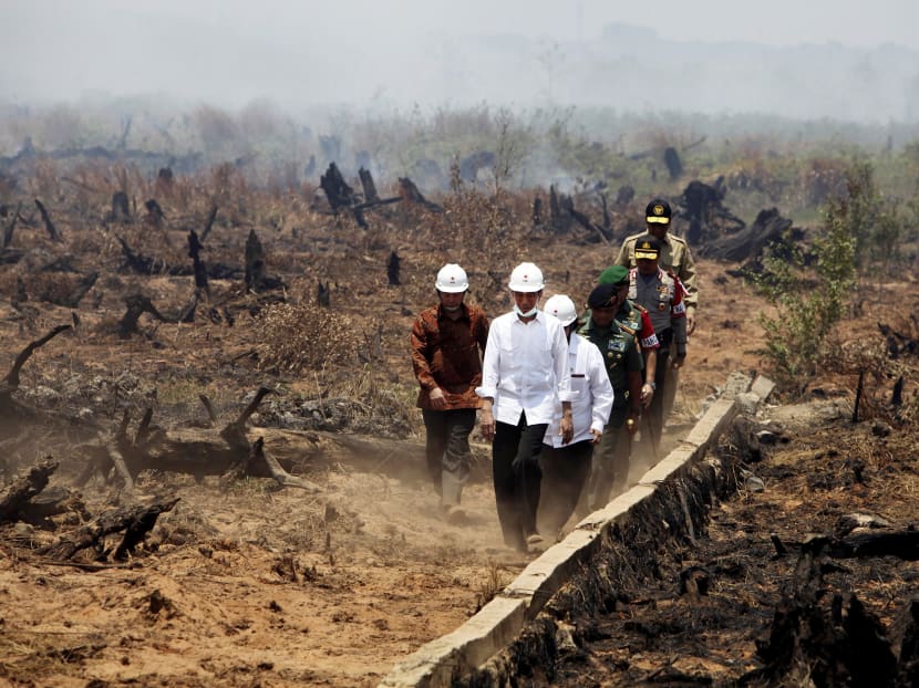 Mr Widodo (front) inspects the aftermath of a fire in Banjarbaru, South Kalimantan province. Photo: Reuters