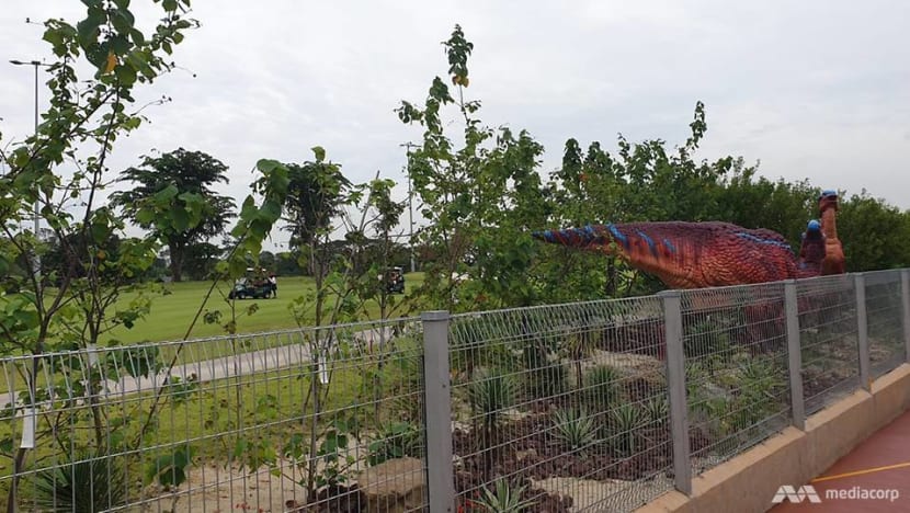 Changi Airport Group looking to 'further minimise the risk of stray golf balls' after injury to visitor at Changi Jurassic Mile Changi Airport Group looking to 'further minimise the risk of stray golf balls' after injury to visitor at Changi Jurassic Mile